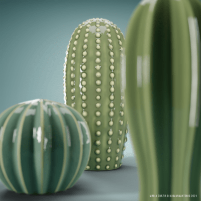 cactus_3
