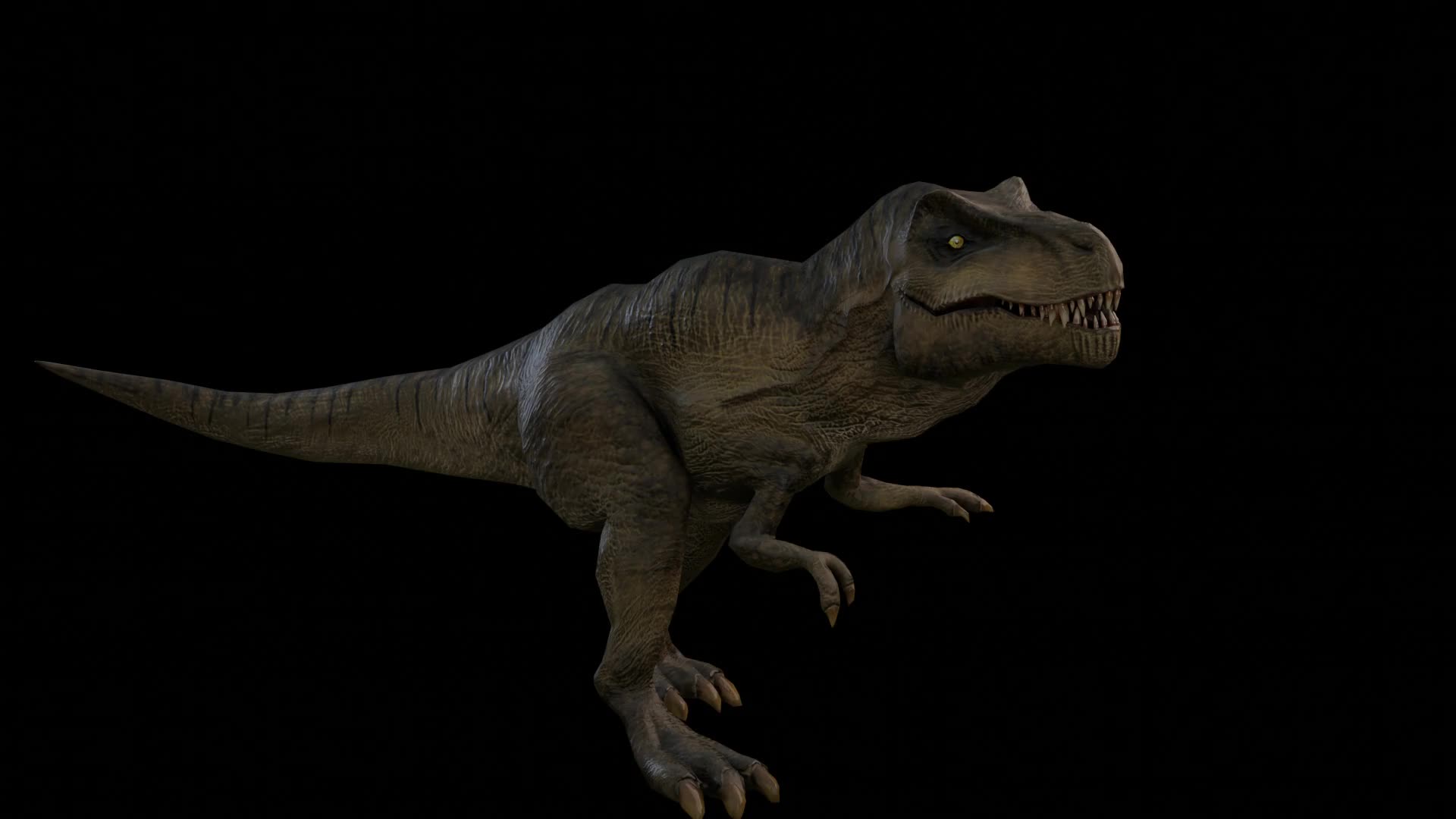 t-rex_0001-0300