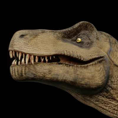 trex_06