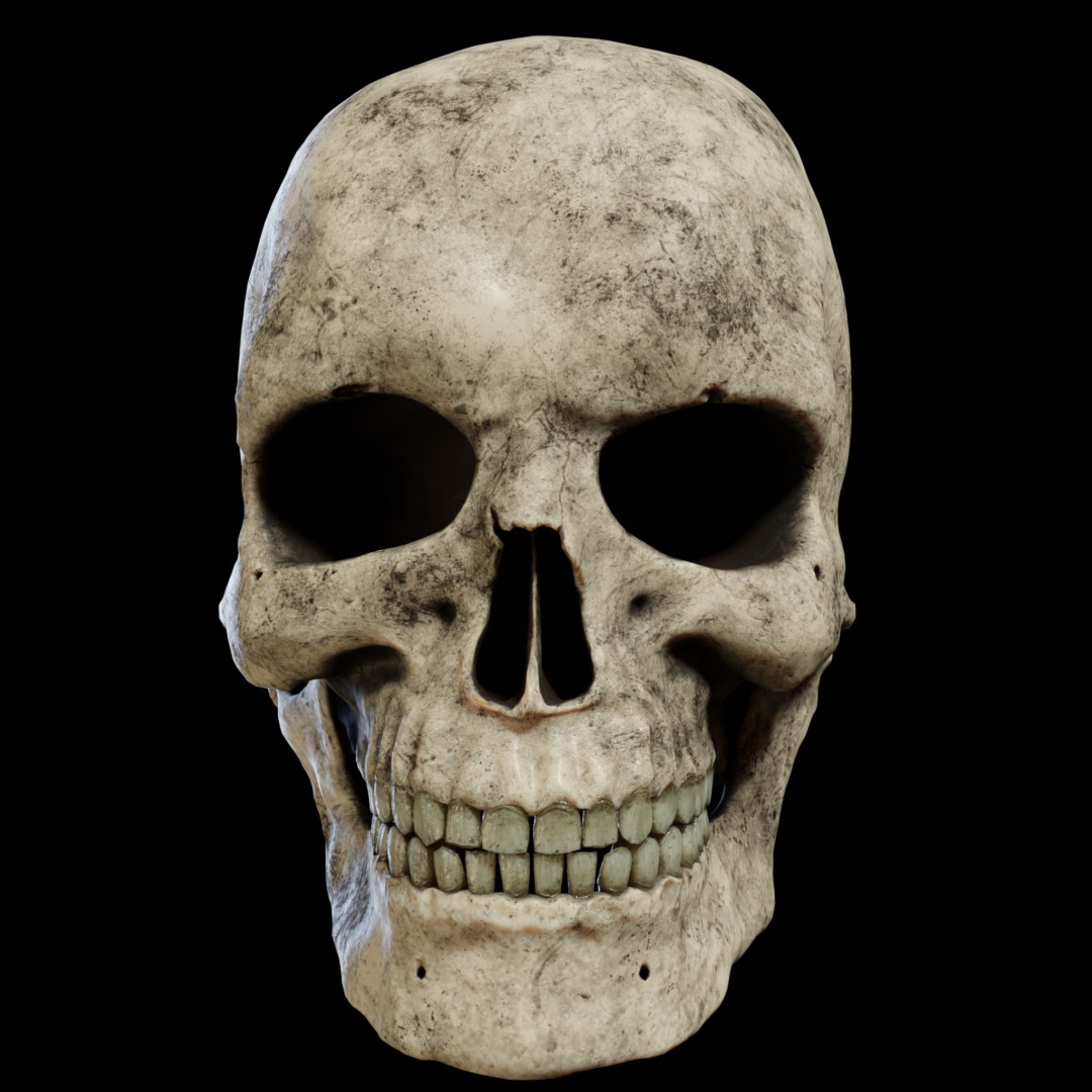 skull_01