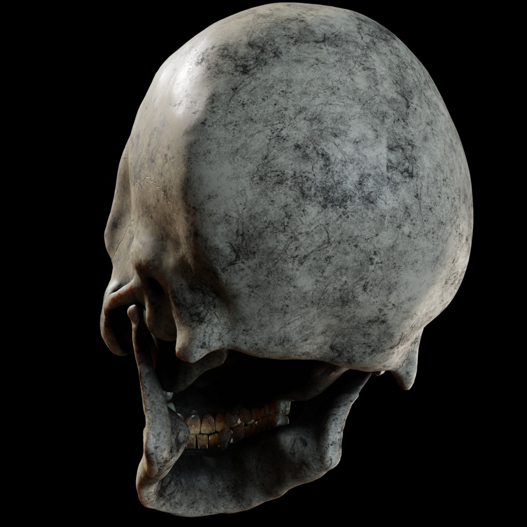 skull_06