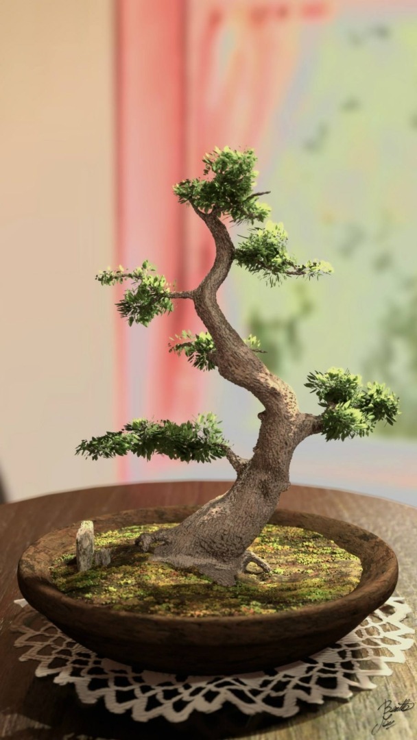 bonsai