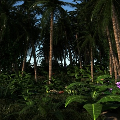 tropical_forest1