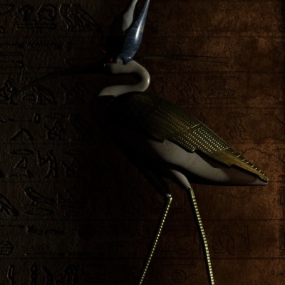 egyptian-ibis