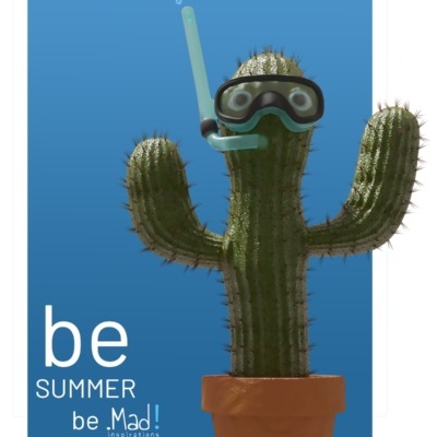 summer-cactus