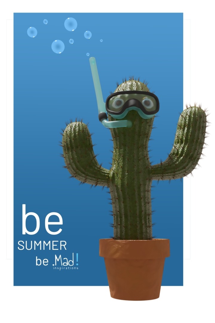 summer-cactus