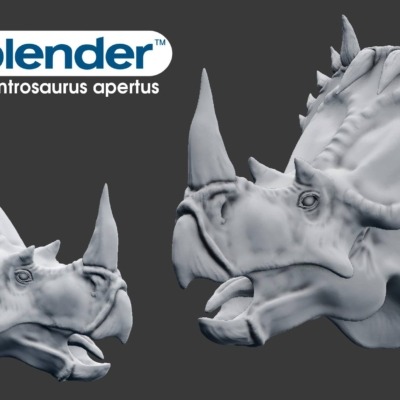 centrosaurus-apertus