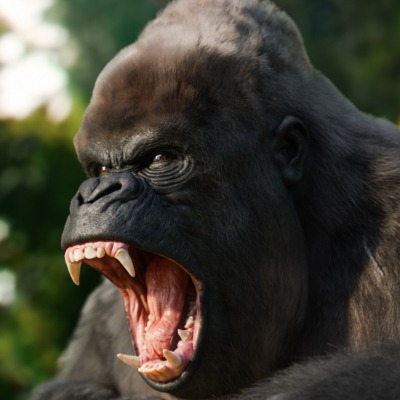 angry-gorilla