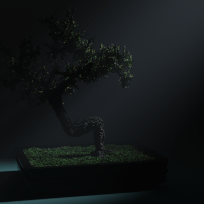 bonsai-4