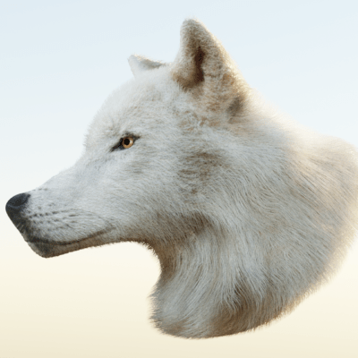 wolf_02