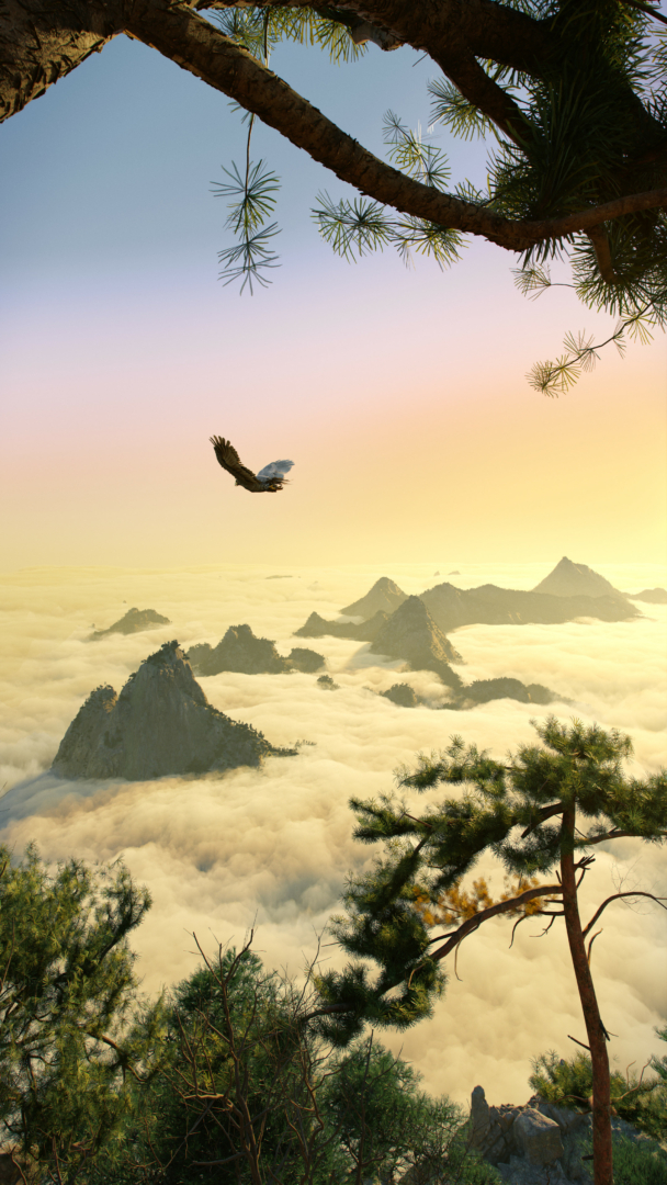 above_the_clouds1