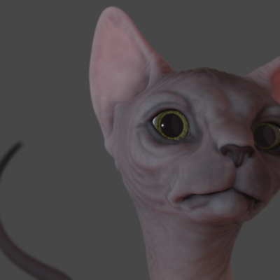 sphynx_eevee_render_test_01