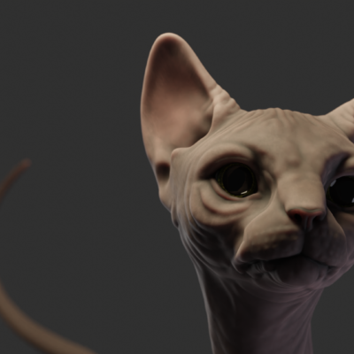 sphynx_cycles_render_test_02